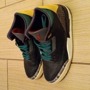 Jordan 3 Animal 💚 ♥️ 💛 instinct